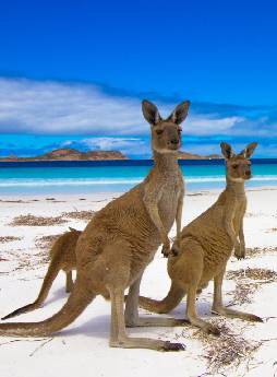 Australia